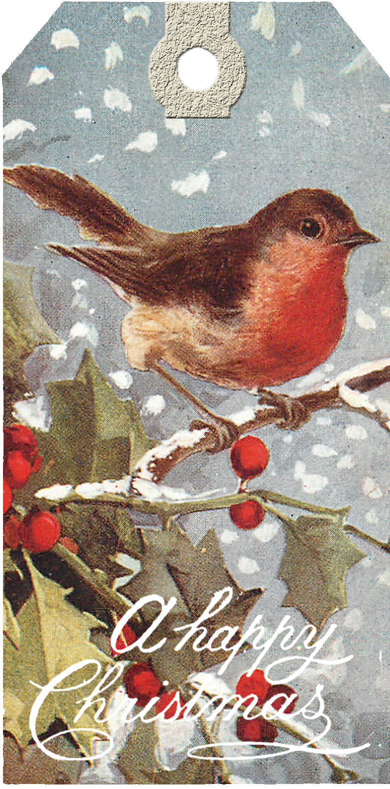 free clipart christmas robins - photo #36