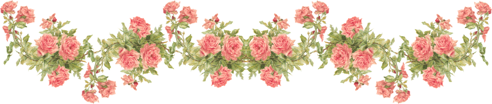Wings of Whimsy: Peach Rose Border - Catherine Klein - PNG (transparent background) - free for personal use
