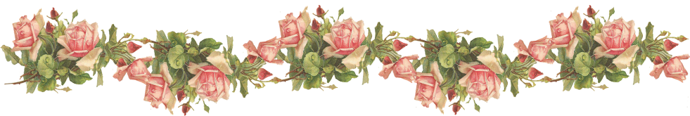 Wings of Whimsy: Pink Roses Border - Catherine Klein - PNG (transparent background) - free for personal use