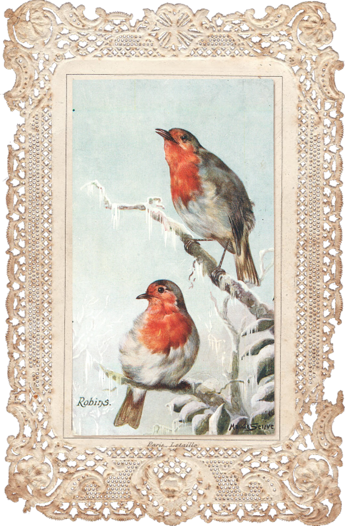 Wings of Whimsy: Lace Robins Scrap - PNG (transparent background) free for personal use #vintage #ephemera #printable