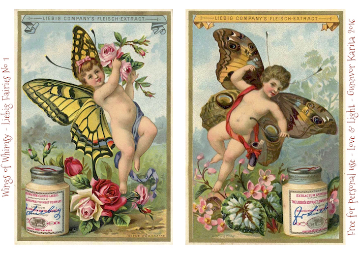Wings of Whimsy: Liebig Faries No1 #freebie #vintage #ephemera #printable #liebig #fairy #cherub #butterfly